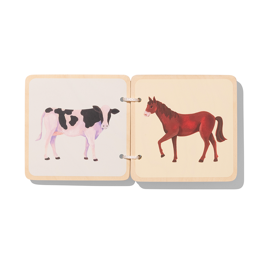 The Charmer Play Kit Book Bundle - Image 5